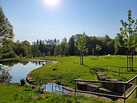 Tretbecken am Wald-Boden-Klima-Park